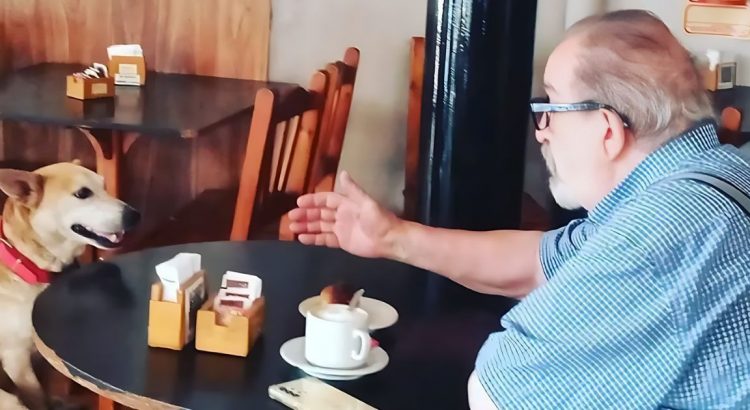Ce café accueille un chien qui s'installe auprès des personnes seules pour leur tenir compagnie