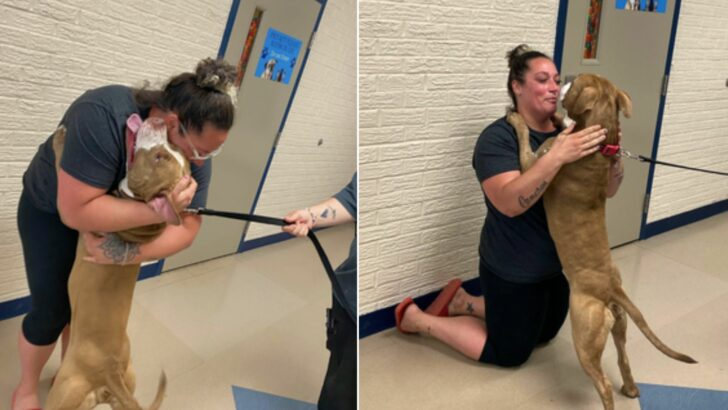 Le chien Loki et sa propriétaire