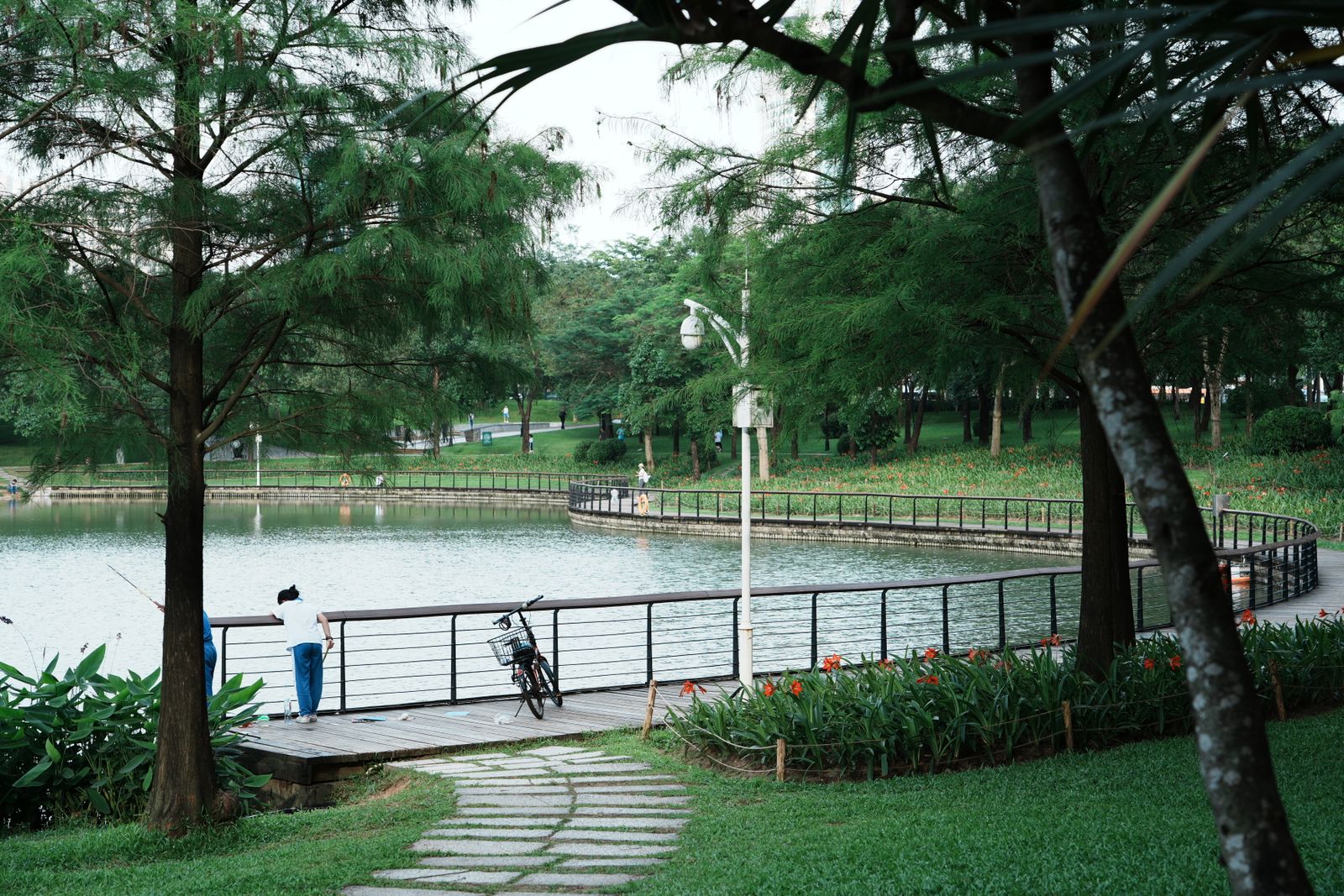 Plan d’eau dans un parc — photo d’illustration, autre lieu que celui du sauvetage
