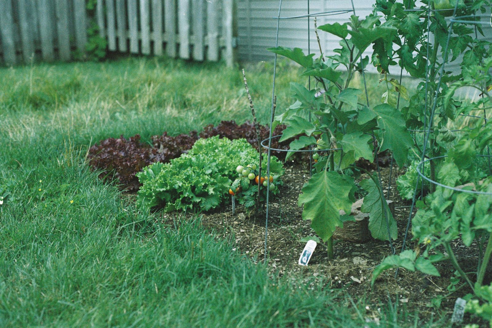 Potager — photo d’illustration